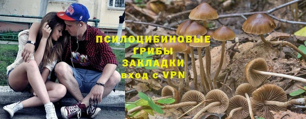 прущий лед Белокуриха