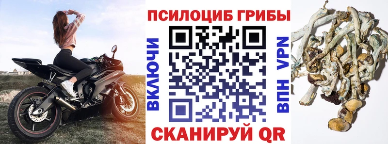 Галлюциногенные грибы мухоморы  Кстово 