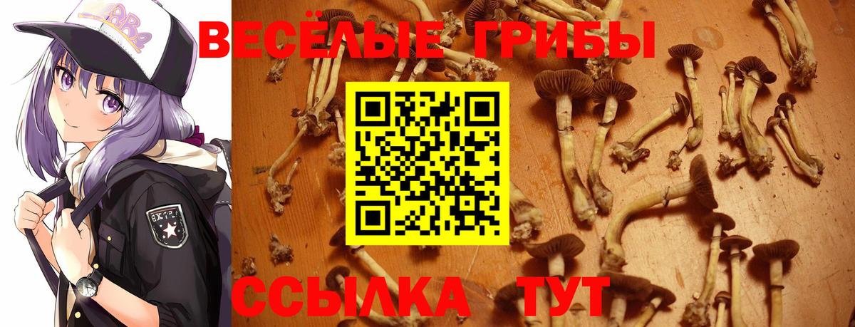 Кстово  Галлюциногенные грибы MAGIC MUSHROOMS  цены наркотик  Вход с VPN 