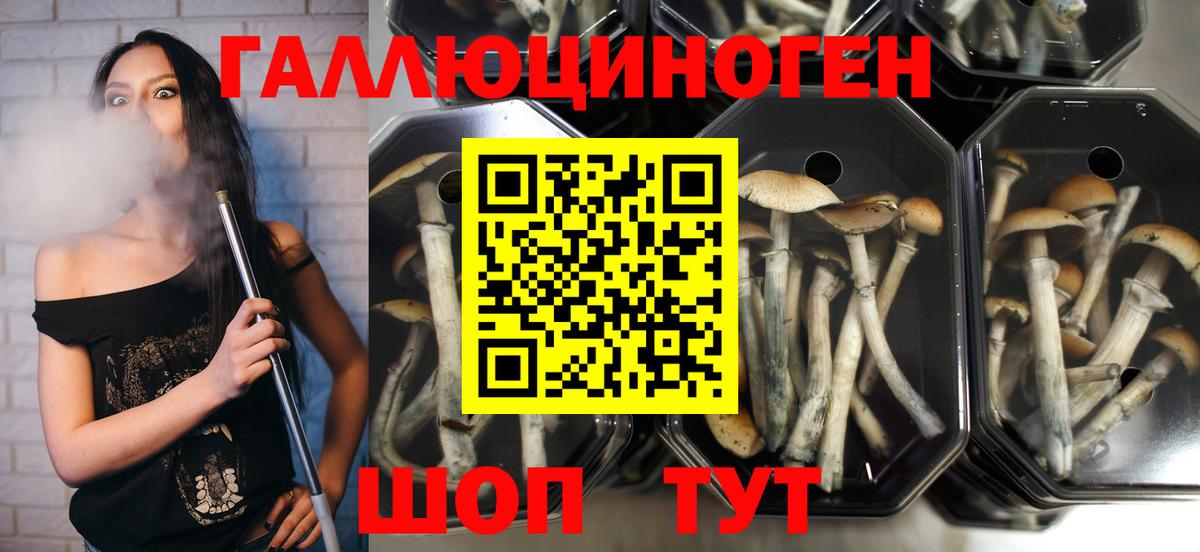 Галлюциногенные грибы мухоморы Кстово
